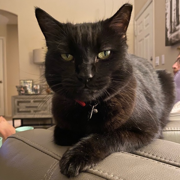 Meet your Posher, Kate - Picture 11 of 11